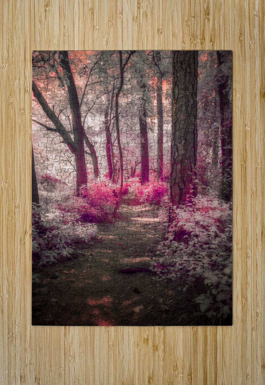 Blushing Path Dream World Images Puzzle printing