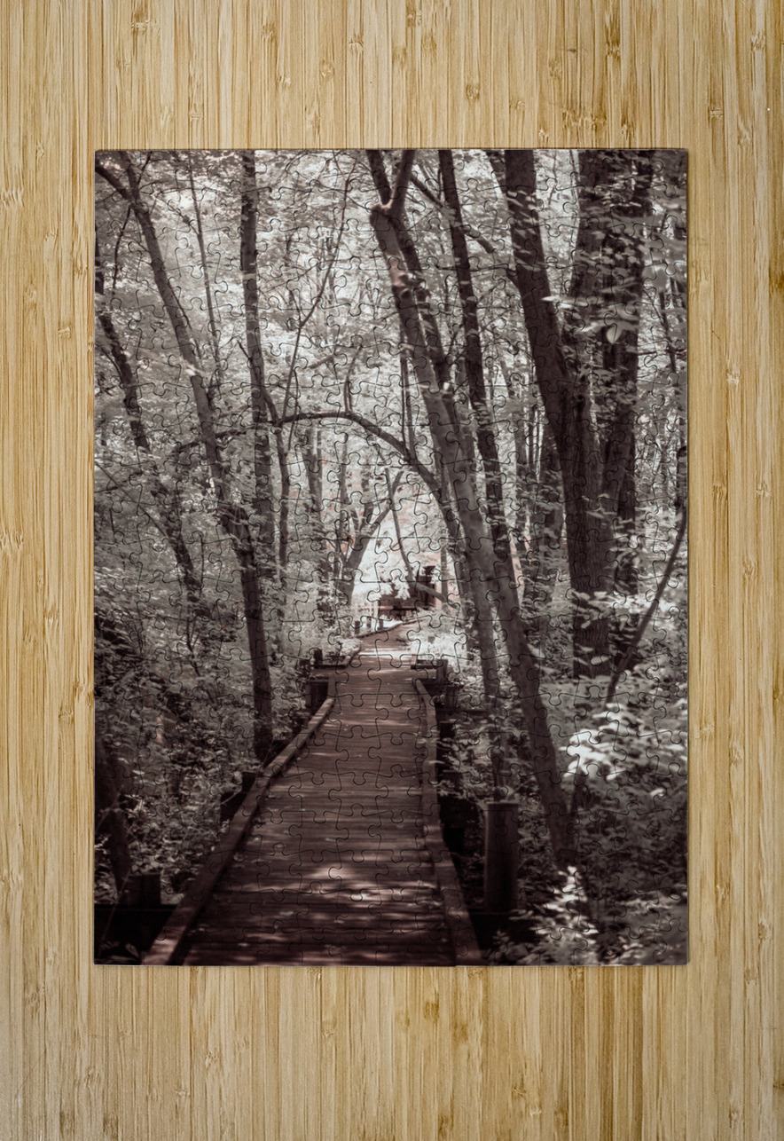 Abbotts Mill Trailblazing: A Swamp Journey in Delawares Natural Oasis Dream World Images Puzzle printing