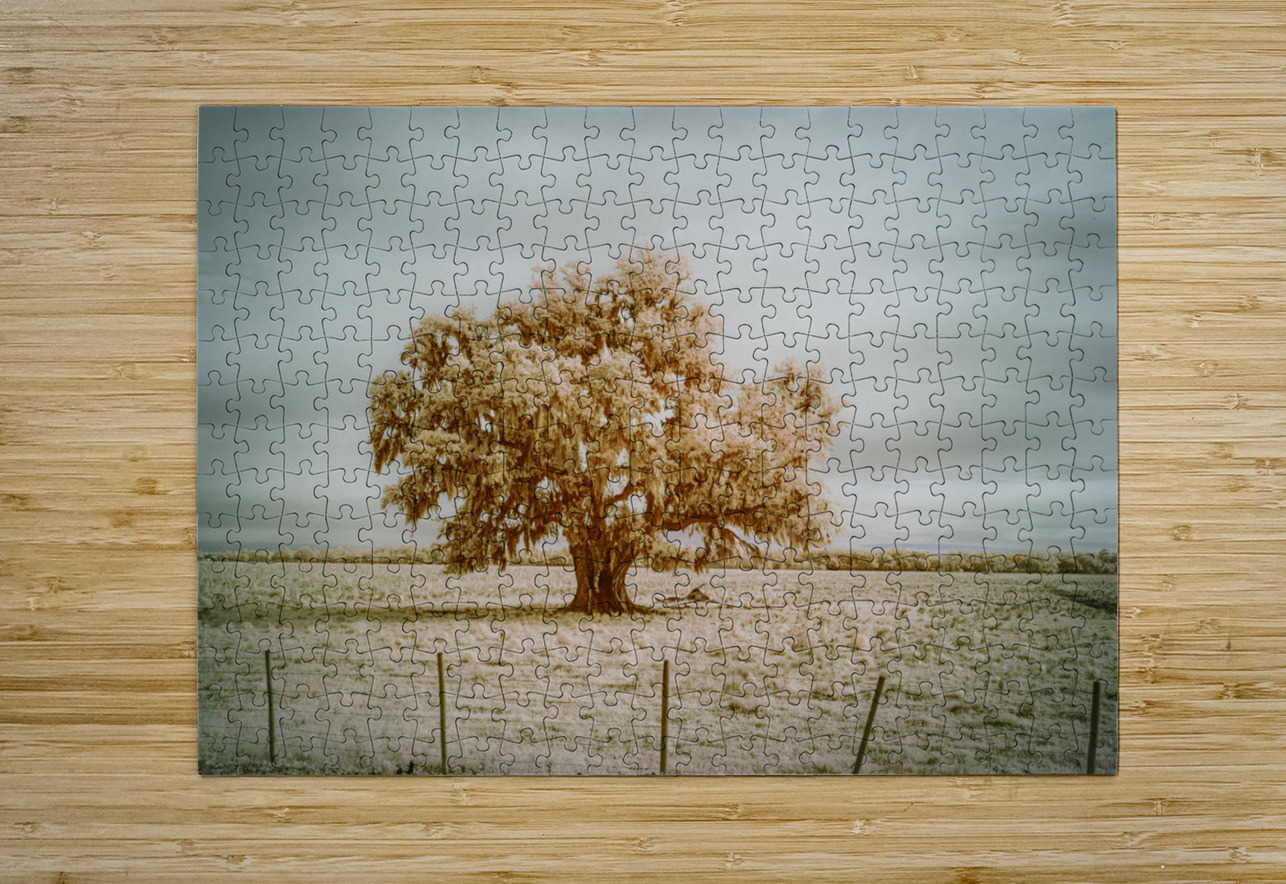 St Bernards Oak Dream World Images Puzzle printing