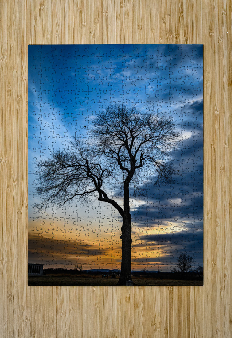 Winters Last Light Dream World Images Puzzle printing