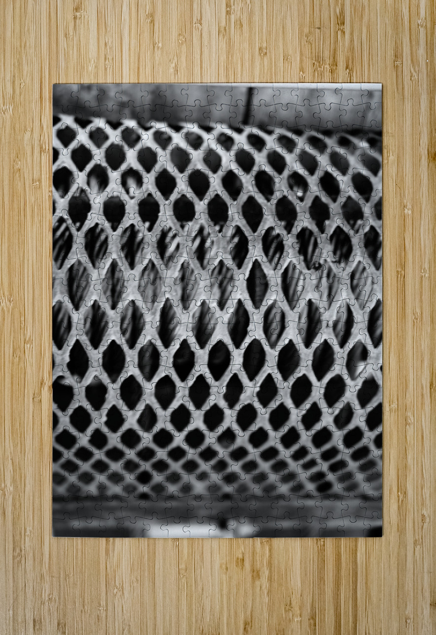 Monochrome Marine Mysteries: Up Close & Personal Dream World Images Puzzle printing