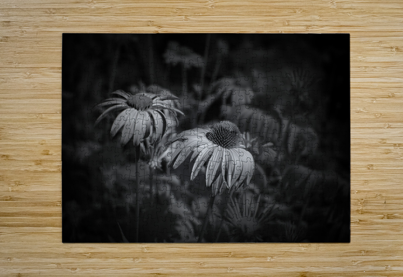 Loris Flowers - 2 Dream World Images Puzzle printing