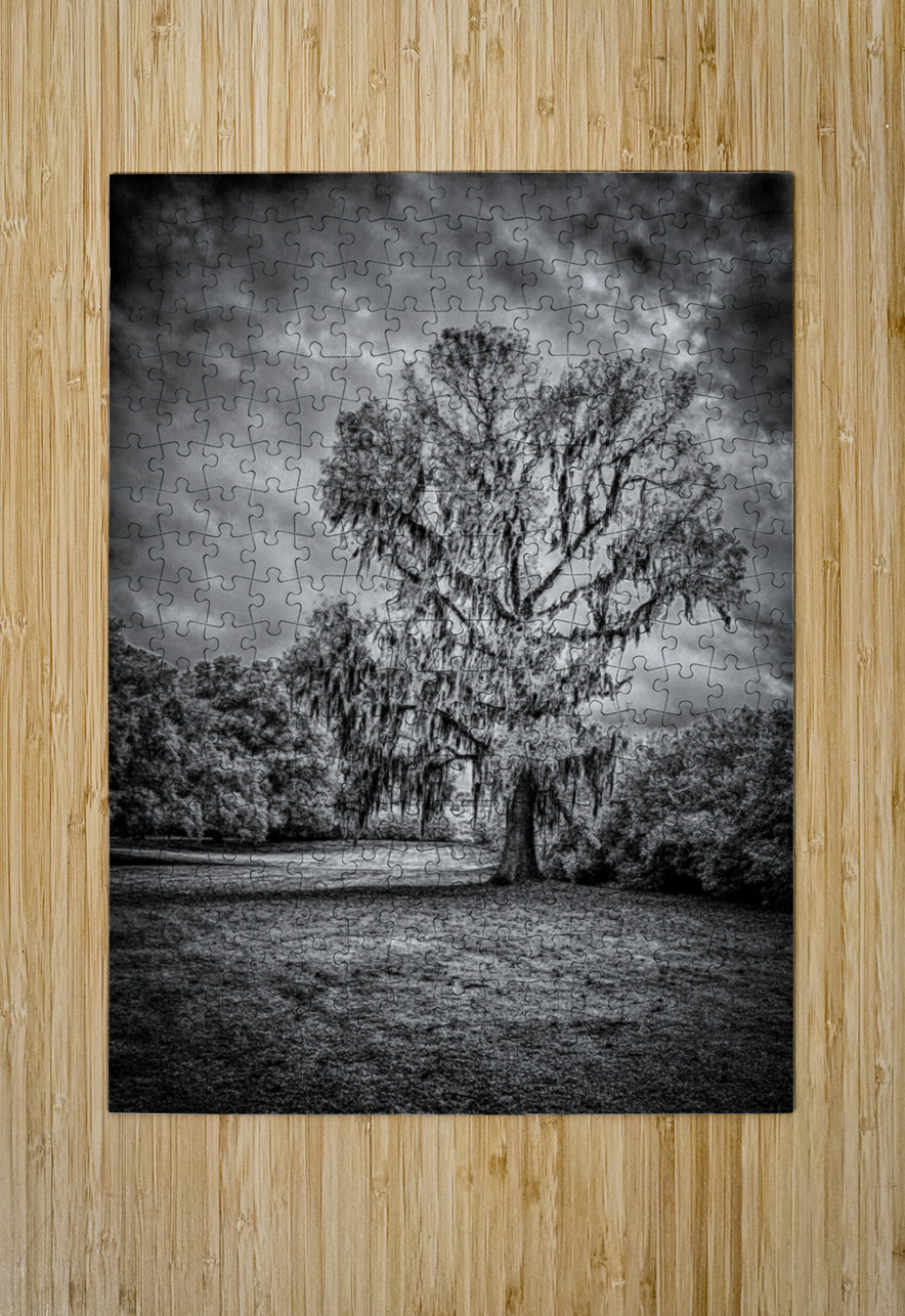 Spanish Moss Soliloquy Dream World Images Puzzle printing