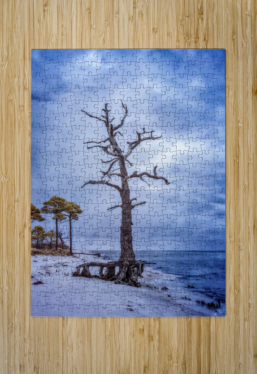 Coastal Sentinels Last Watch Dream World Images Puzzle printing