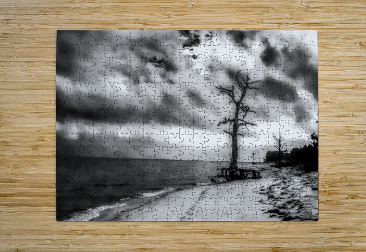 Ghosts of the Shoreline: Dead Tree Footprints Dream World Images Puzzle printing