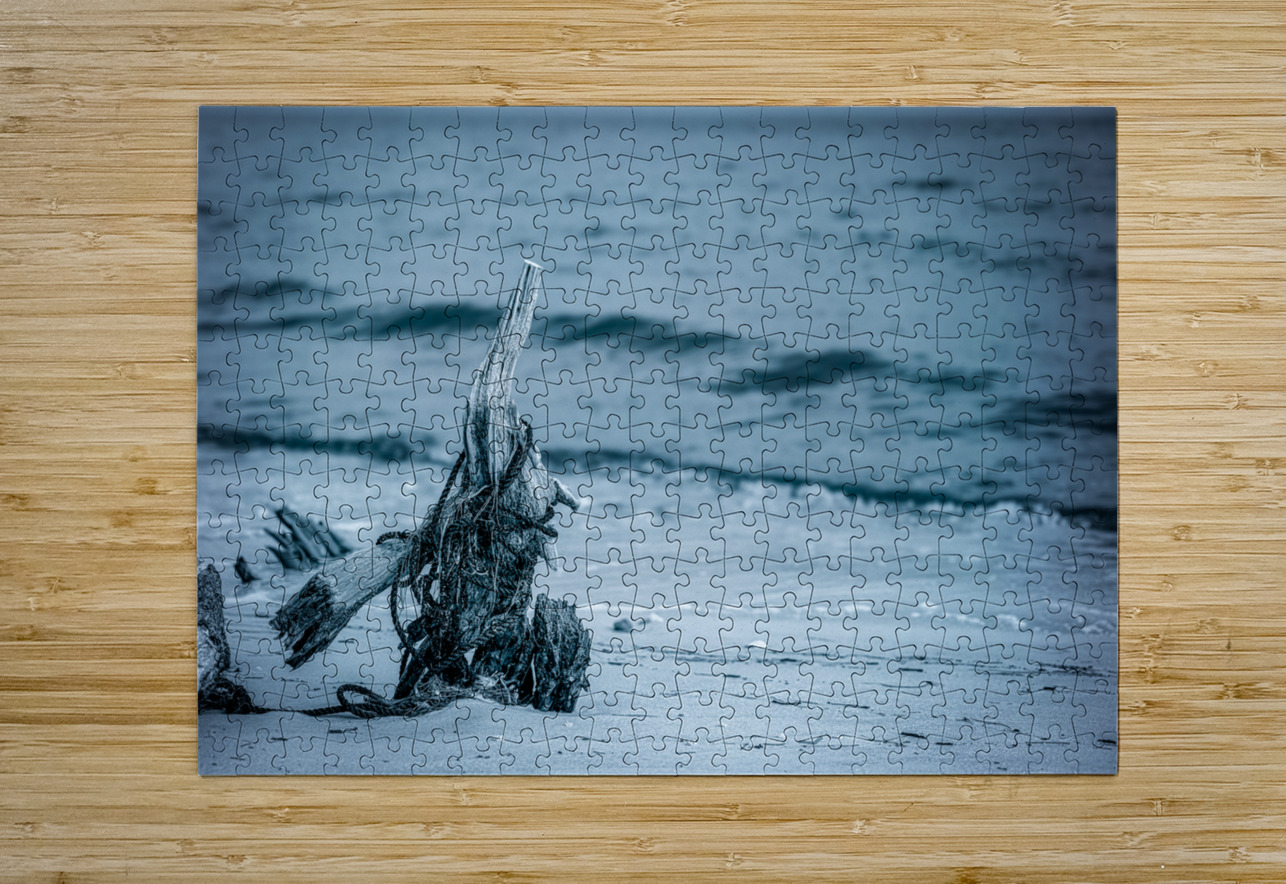 Oceans Driftwood Sentinel Dream World Images Puzzle printing