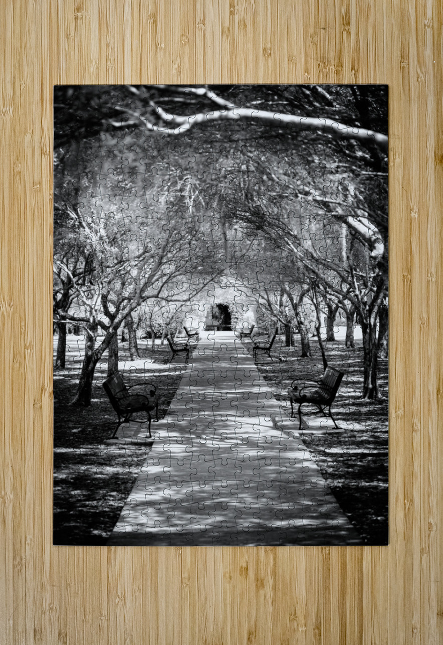 Olive Promenade Dream World Images Puzzle printing