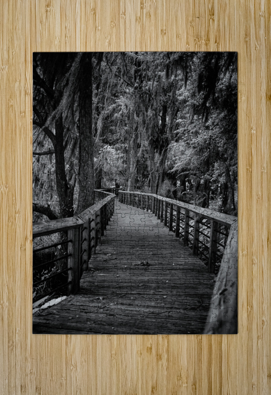 Mystic Passage Dream World Images Puzzle printing