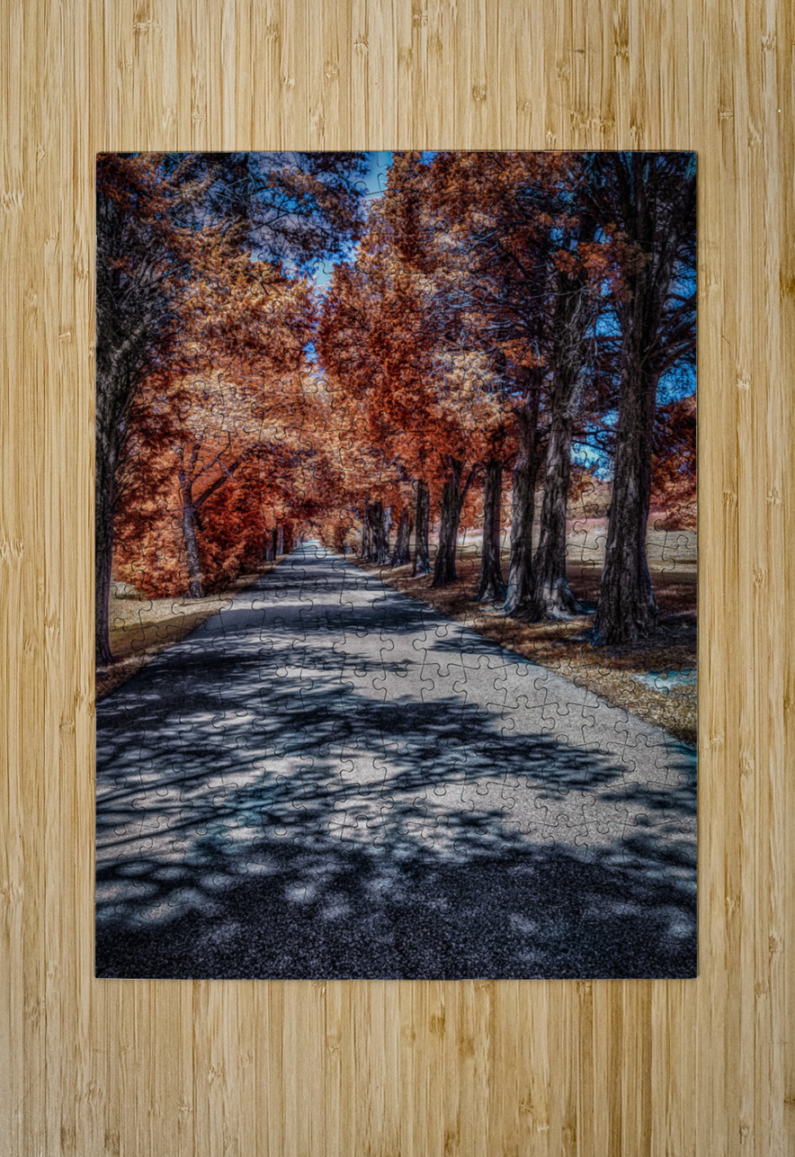 Infrared roadway Dream World Images Puzzle printing