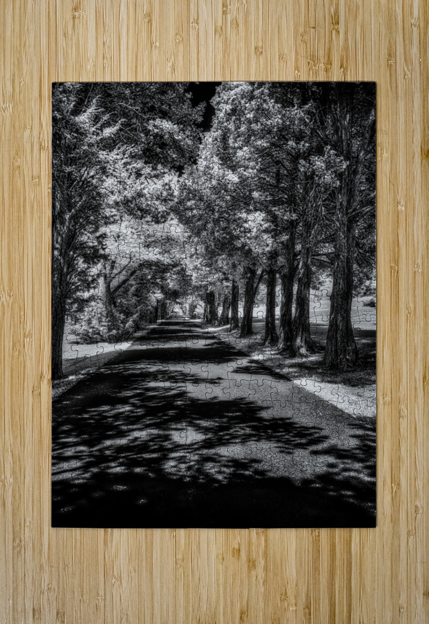 Shadows Path Beckons Dream World Images Puzzle printing