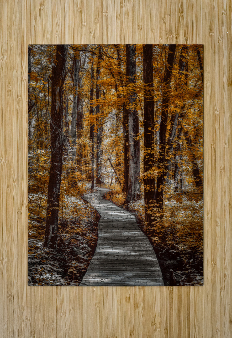 Golden Swamp Walk Dream World Images Puzzle printing