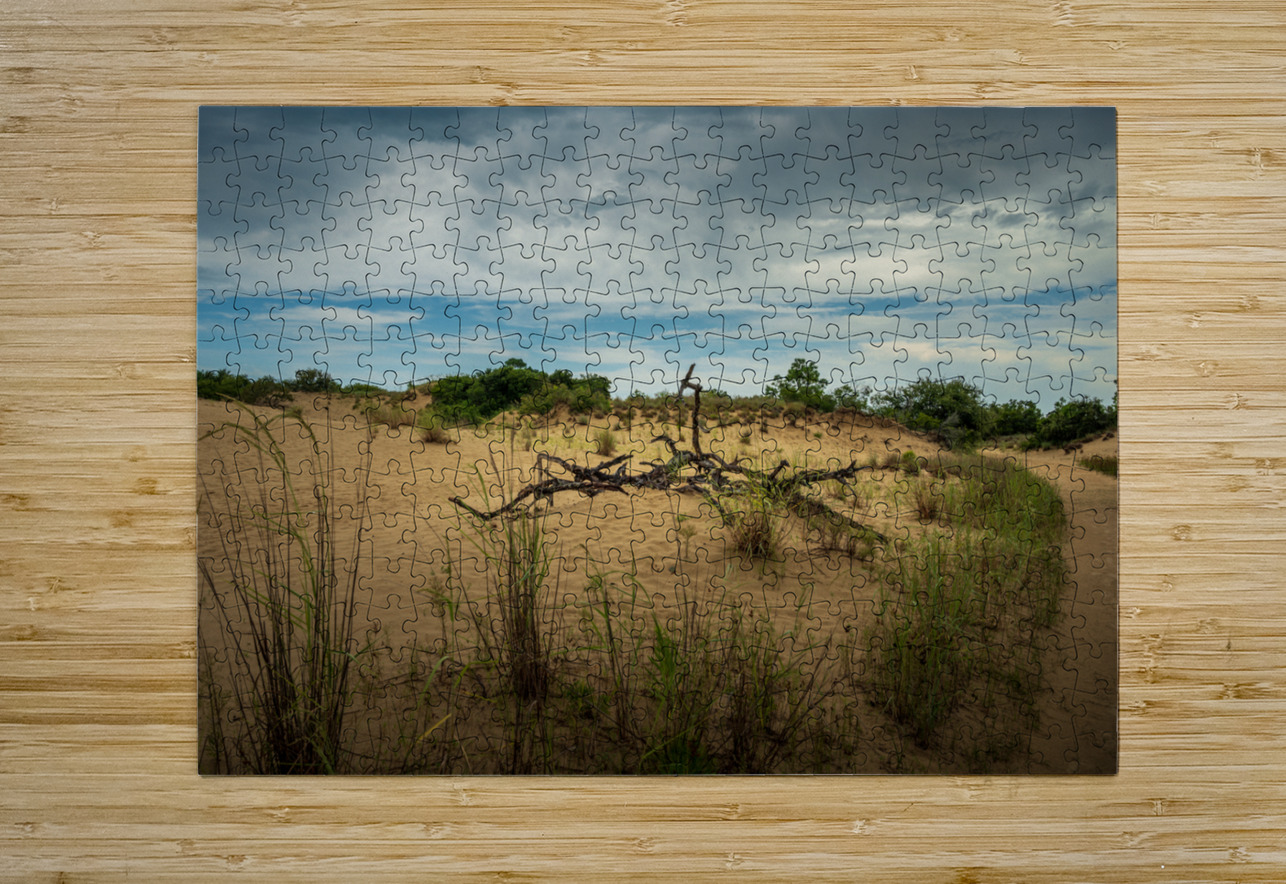 Jockey Ridge - 1 Dream World Images Puzzle printing