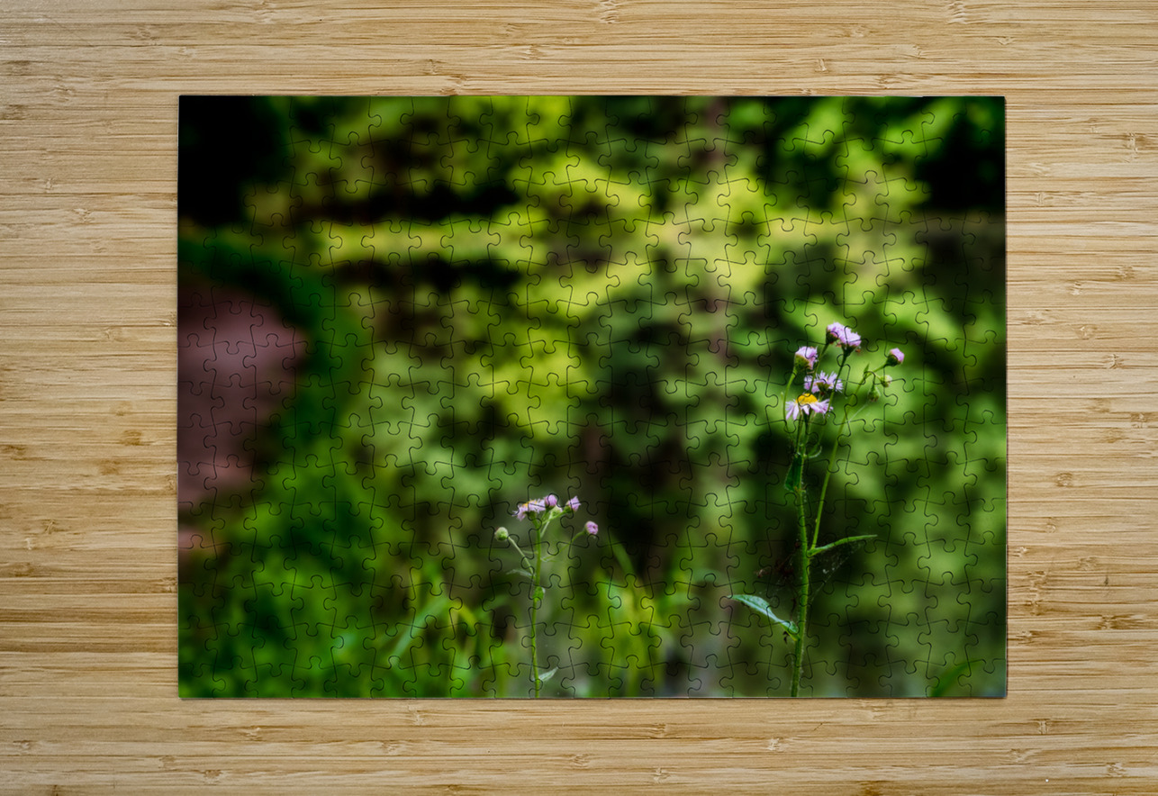 Tranquil Blossoms: A Close Encounter with Wildflower Splendor Dream World Images Puzzle printing