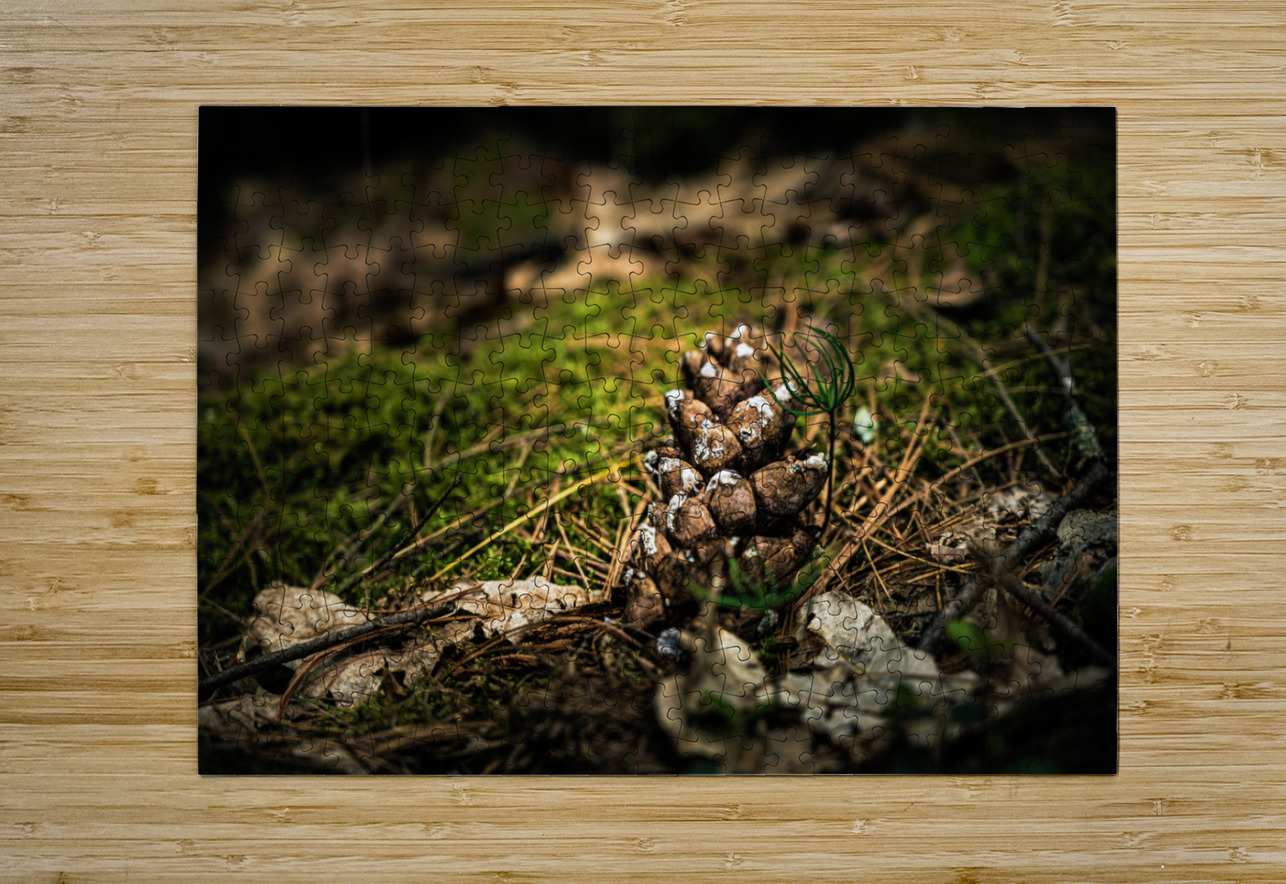 Pine Cone Dream World Images Puzzle printing