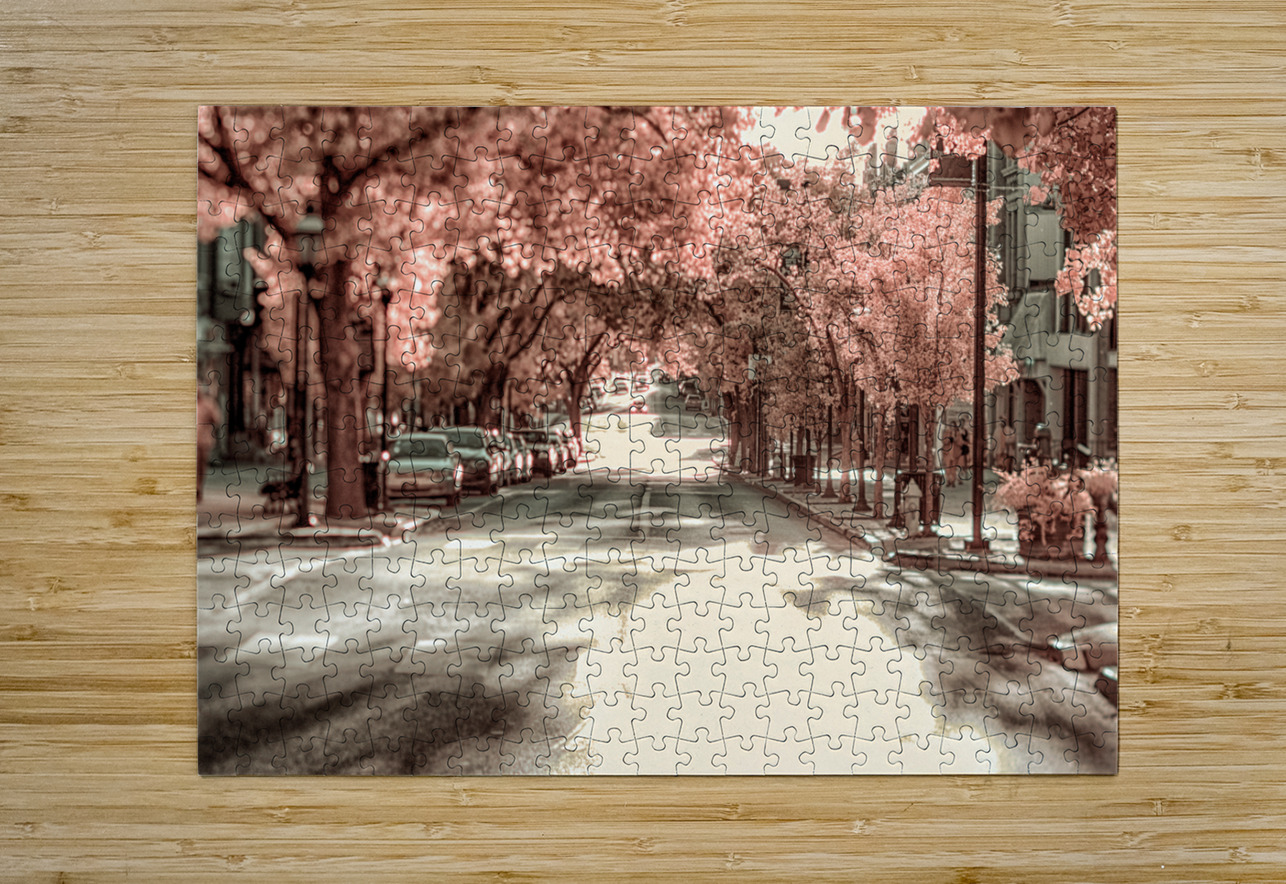 City in Bloom: Yorks Stroll Through Infrared Hues Dream World Images Puzzle printing