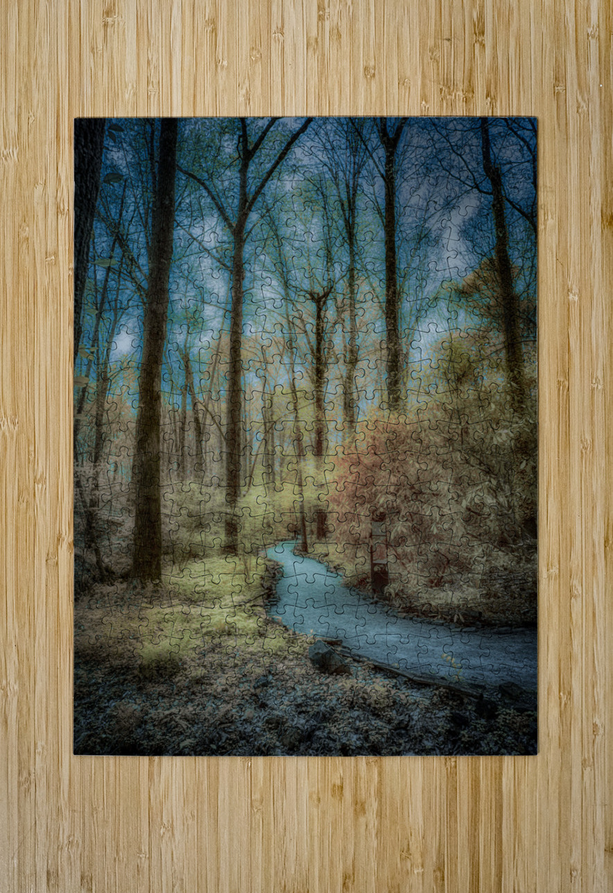 Botanical Bliss: Exploring Colorful Trails in South Carolina Dream World Images Puzzle printing