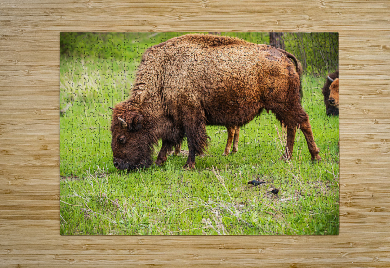 Bison Tales: Prairie Presence Dream World Images Puzzle printing