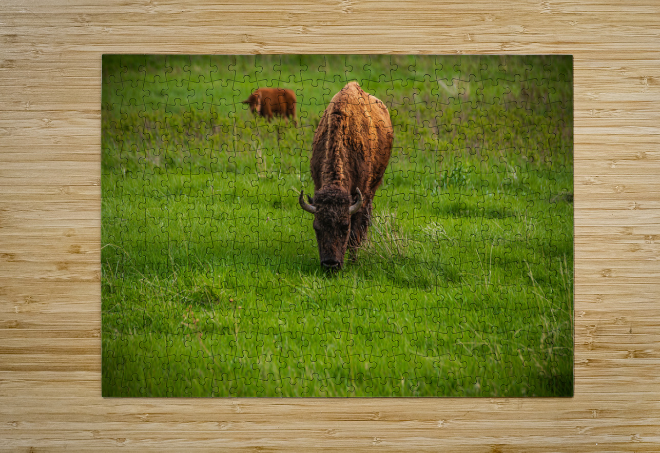 Bison Tales: Grazing in Greatness Dream World Images Puzzle printing