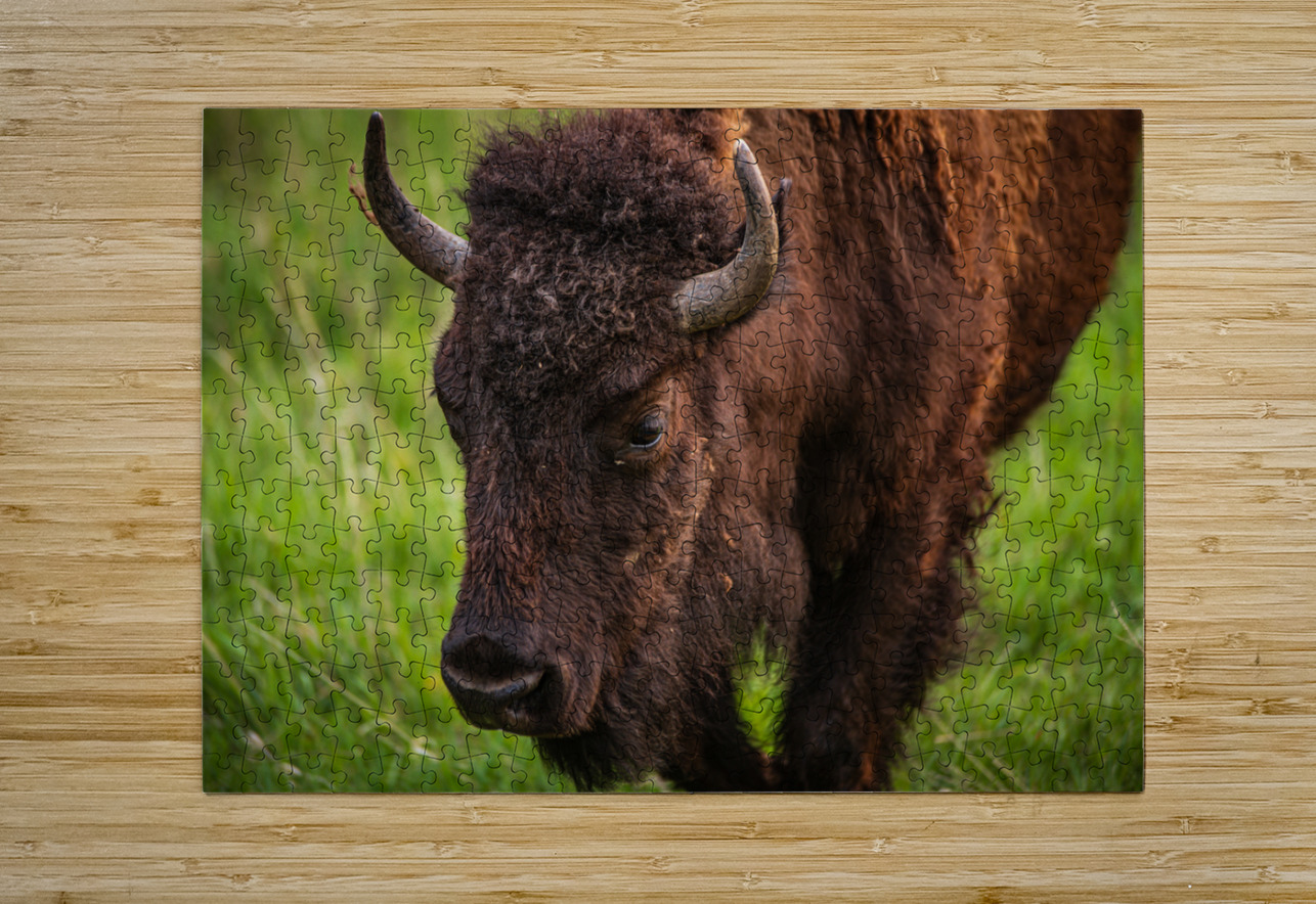 Bison Tales: Wisdom of the Herd Dream World Images Puzzle printing