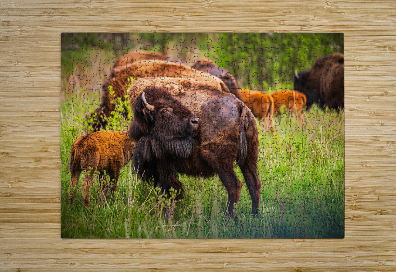 Bison Tales: Got an Itch Dream World Images Puzzle printing