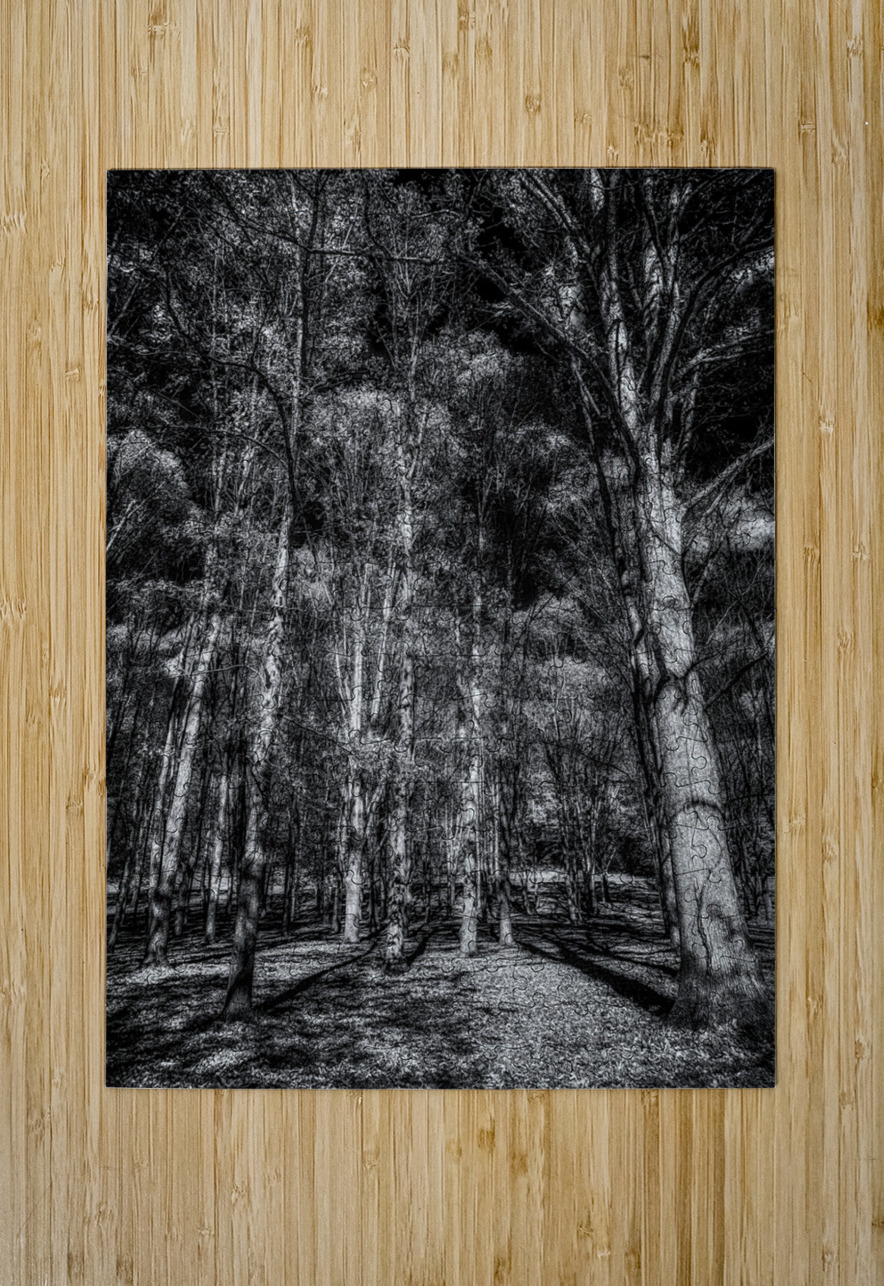 Tall Dark Symphony: A Winters Tale in Infrared Black and White Dream World Images Puzzle printing