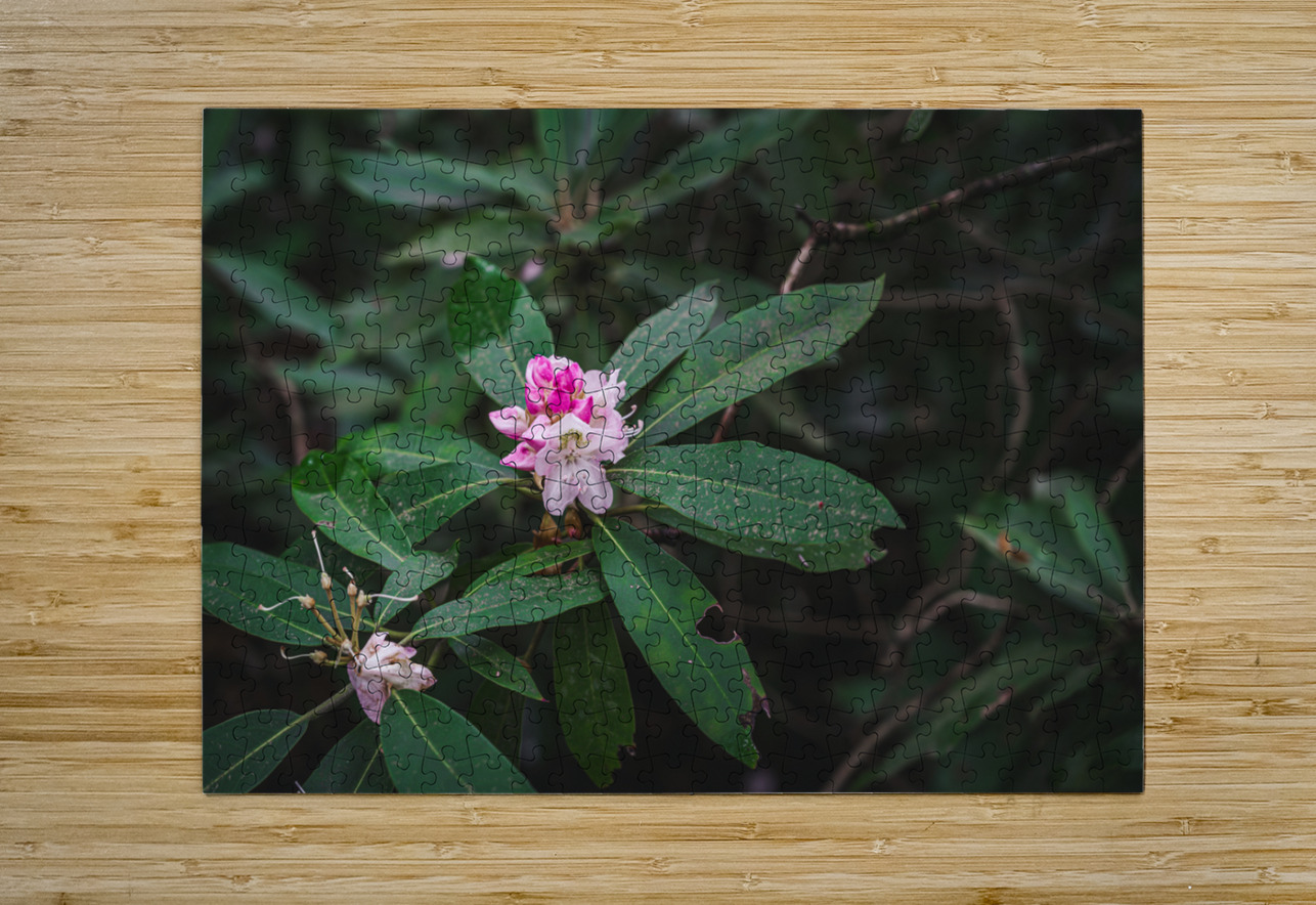 Rhodie - 2 Dream World Images Puzzle printing