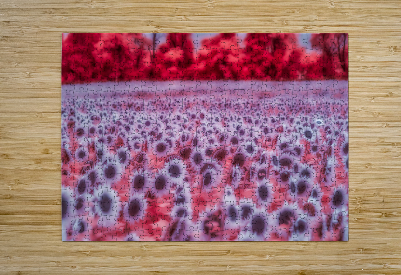 Pink Sunflowers Dream World Images Puzzle printing