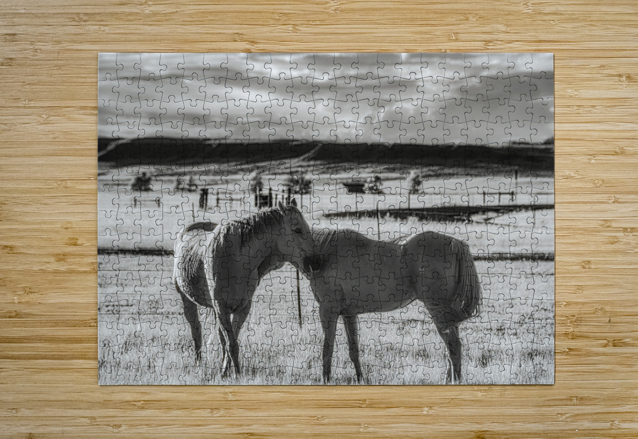 Equine Connection Dream World Images Puzzle printing