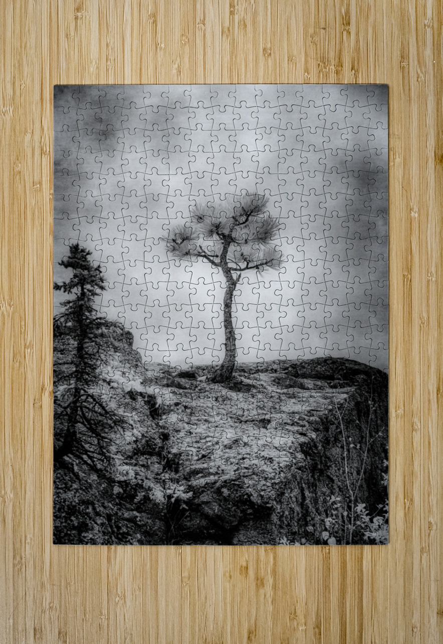 Serene Sylvan Lake: Alone on the Hill Dream World Images Puzzle printing