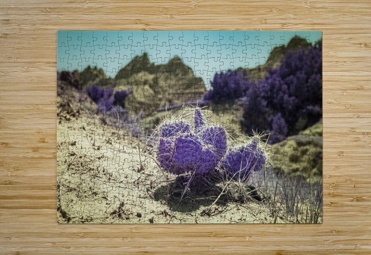 SD Purple Cactus Dream World Images Puzzle printing