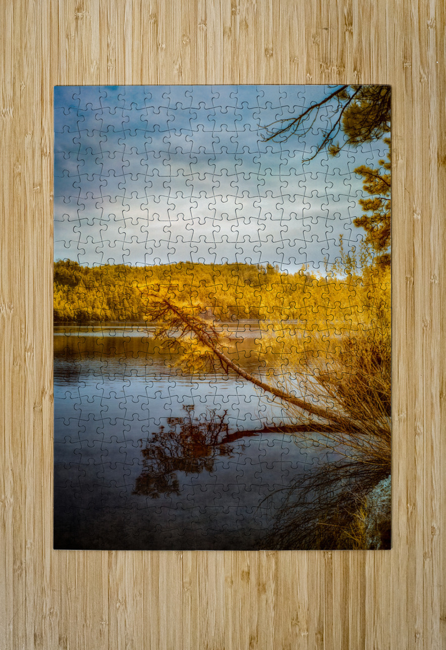 Shadows and Reflections: Overhanging Trees on Center Lake Dream World Images Puzzle printing