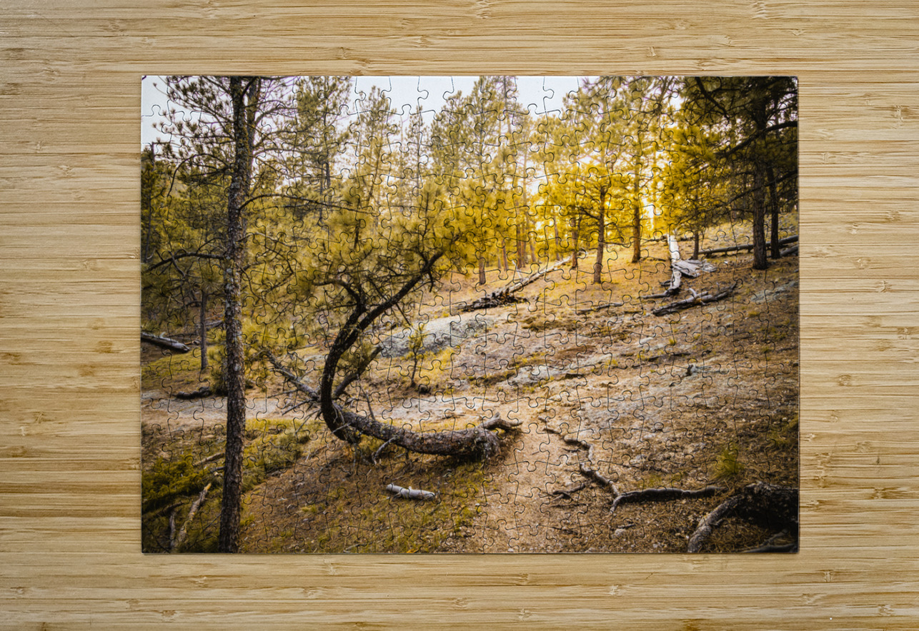 Natures Golden Arc Dream World Images Puzzle printing