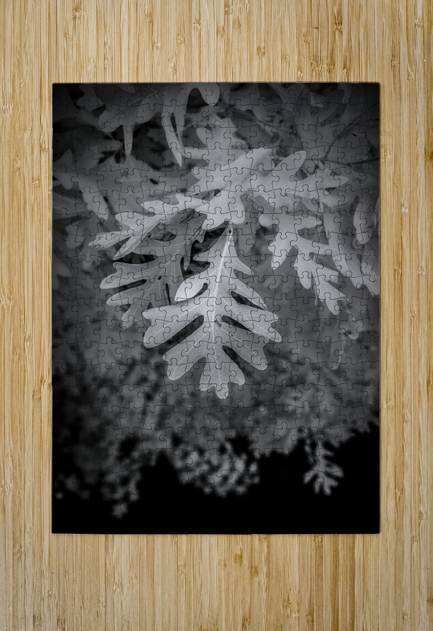 Enchanted Oak Dream World Images Puzzle printing