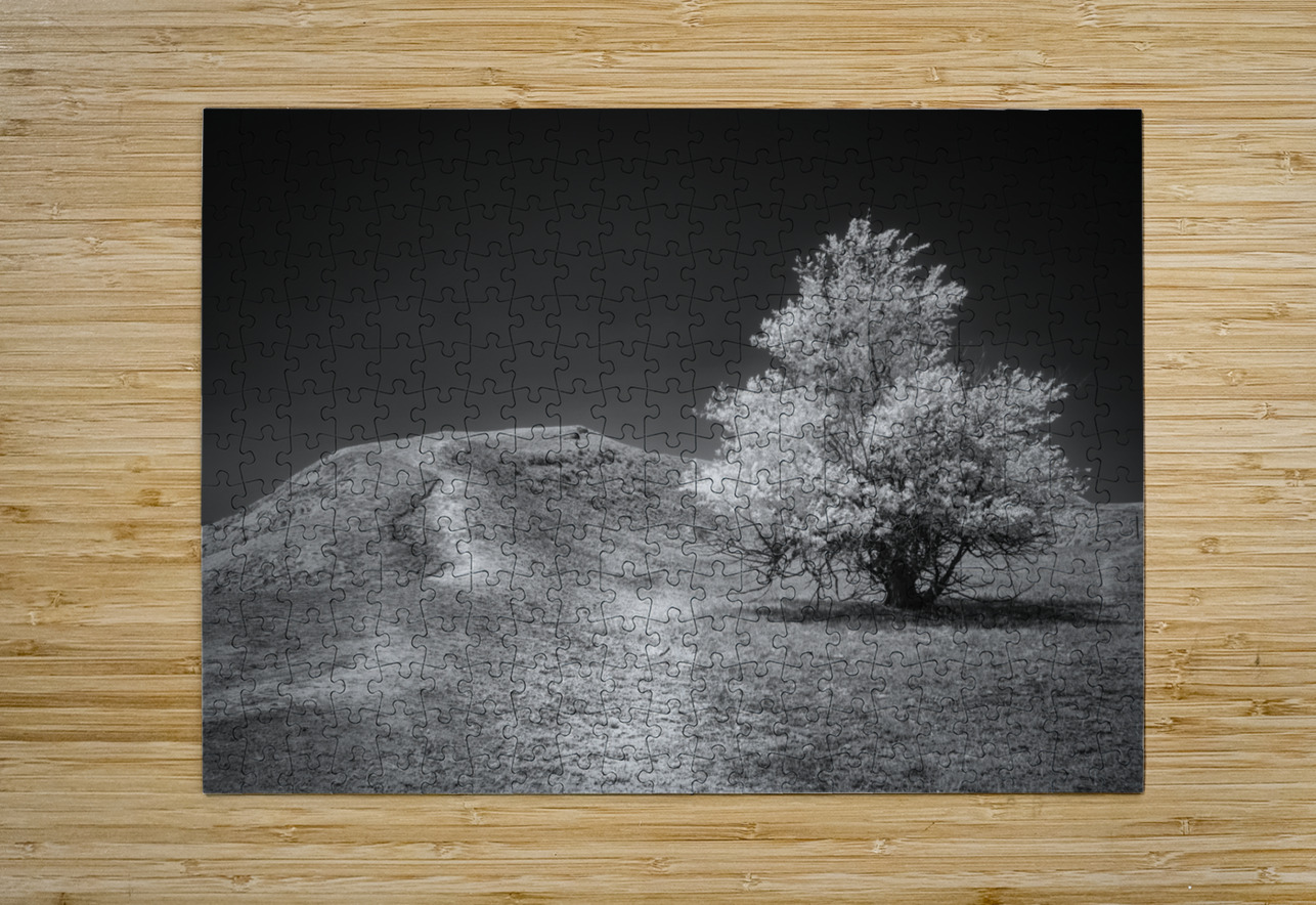 Silent Beauty: Navigating the Badlands Dream World Images Puzzle printing