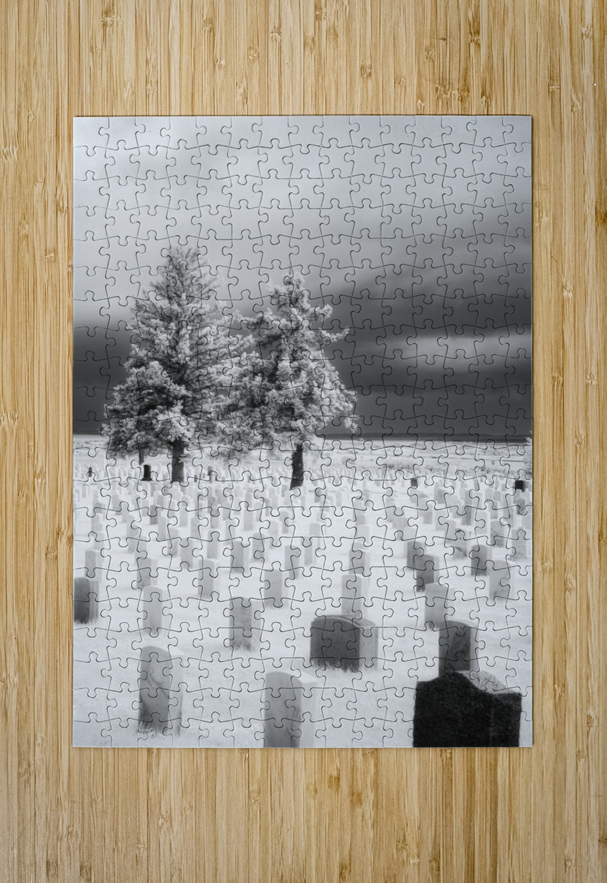 Guardians of Valor Dream World Images Puzzle printing