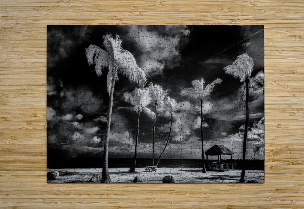 Tiki Picnic Dream World Images Puzzle printing