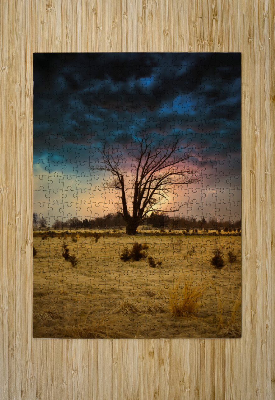 Stormy Solitude Dream World Images Puzzle printing