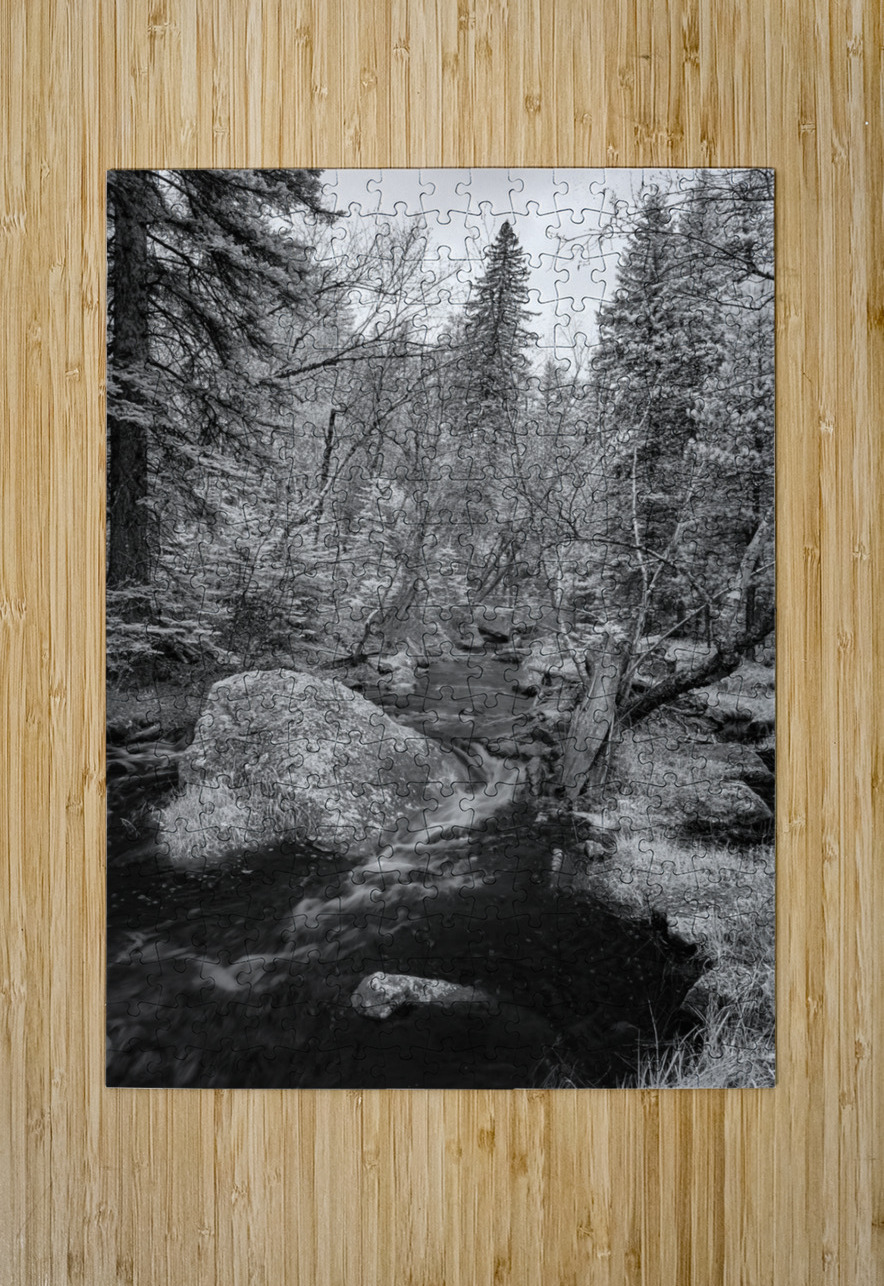 Monochromatic Serenity: Exploring Grace Coolidge Creek in Custer - Tall Dream World Images Puzzle printing