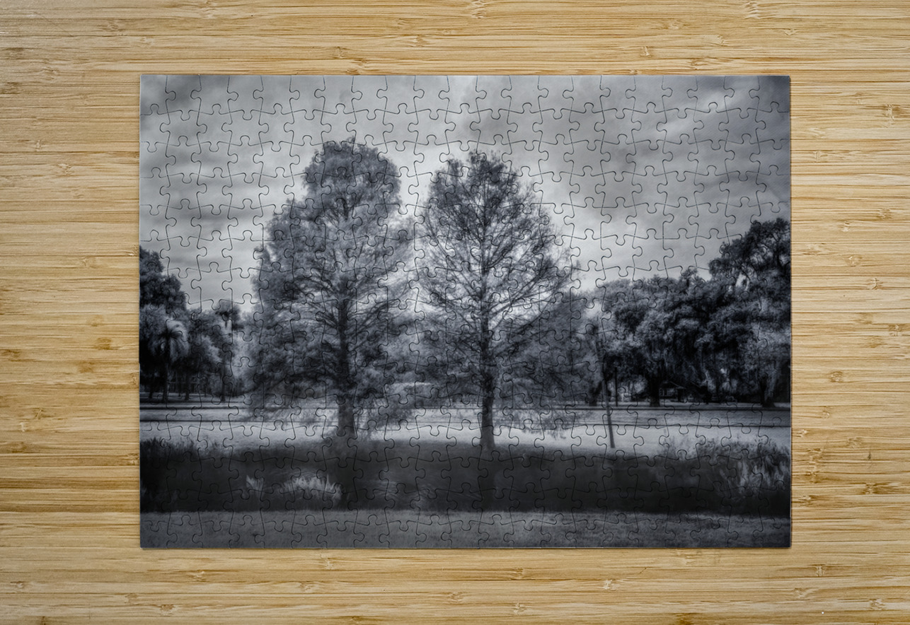 Mystical Twins: Unveiling the Beauty of Venetian Gardens in Leesburg Dream World Images Puzzle printing