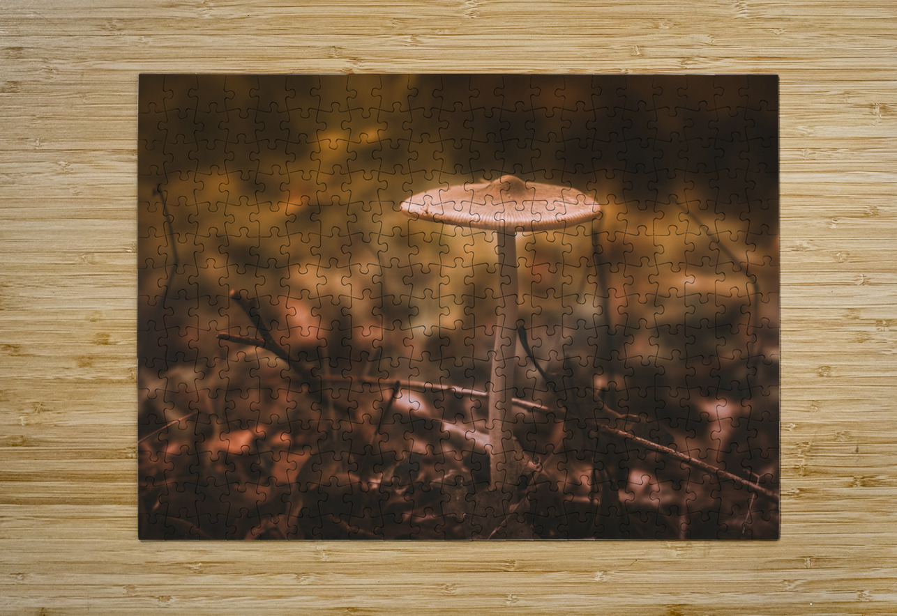 Mystical Fungi: Pale Amidst Sun-Dappled Leaves Dream World Images Puzzle printing