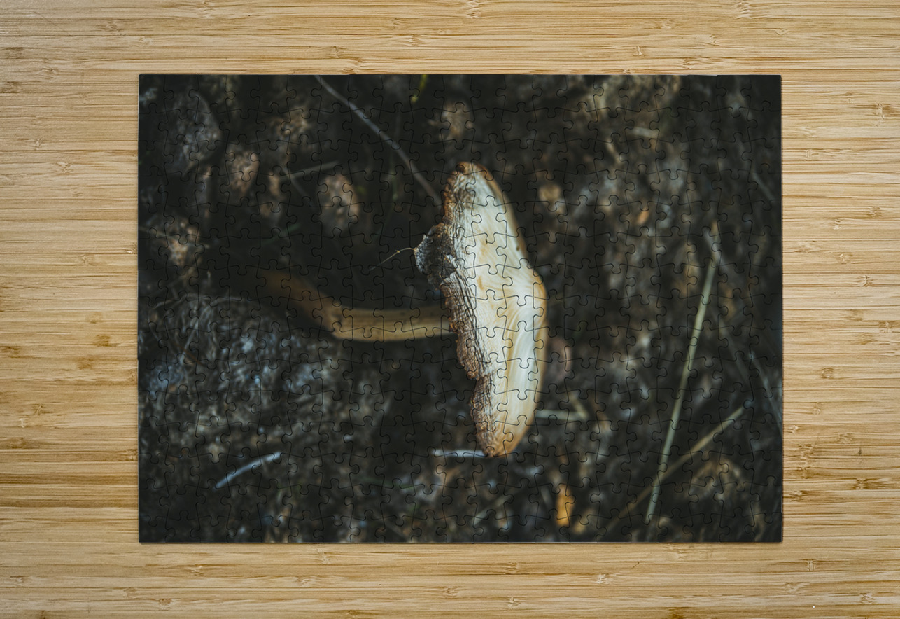 Montana Ranch Shroom: Highland Horseshoe Fungus Dream World Images Puzzle printing