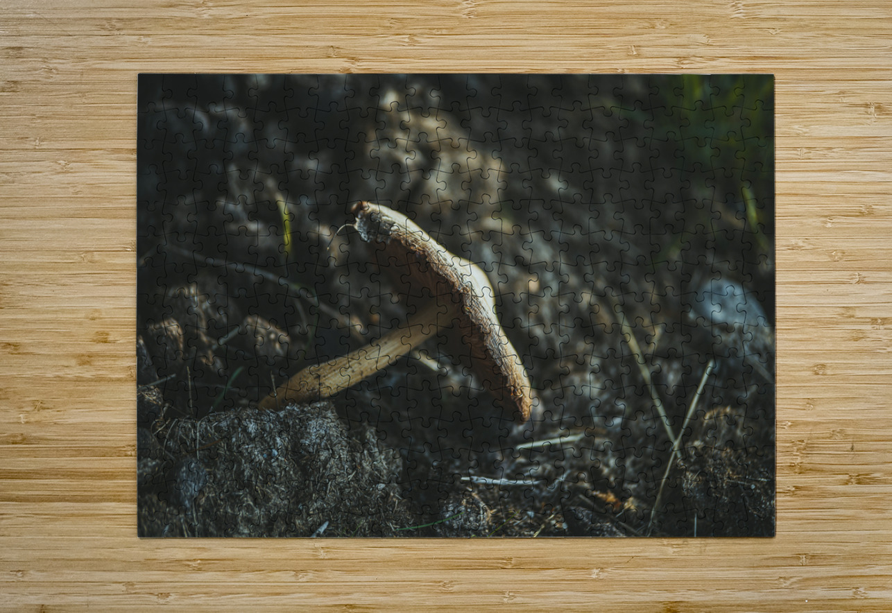 Montana Ranch Shroom: Rustic Ranch Fungus Dream World Images Puzzle printing