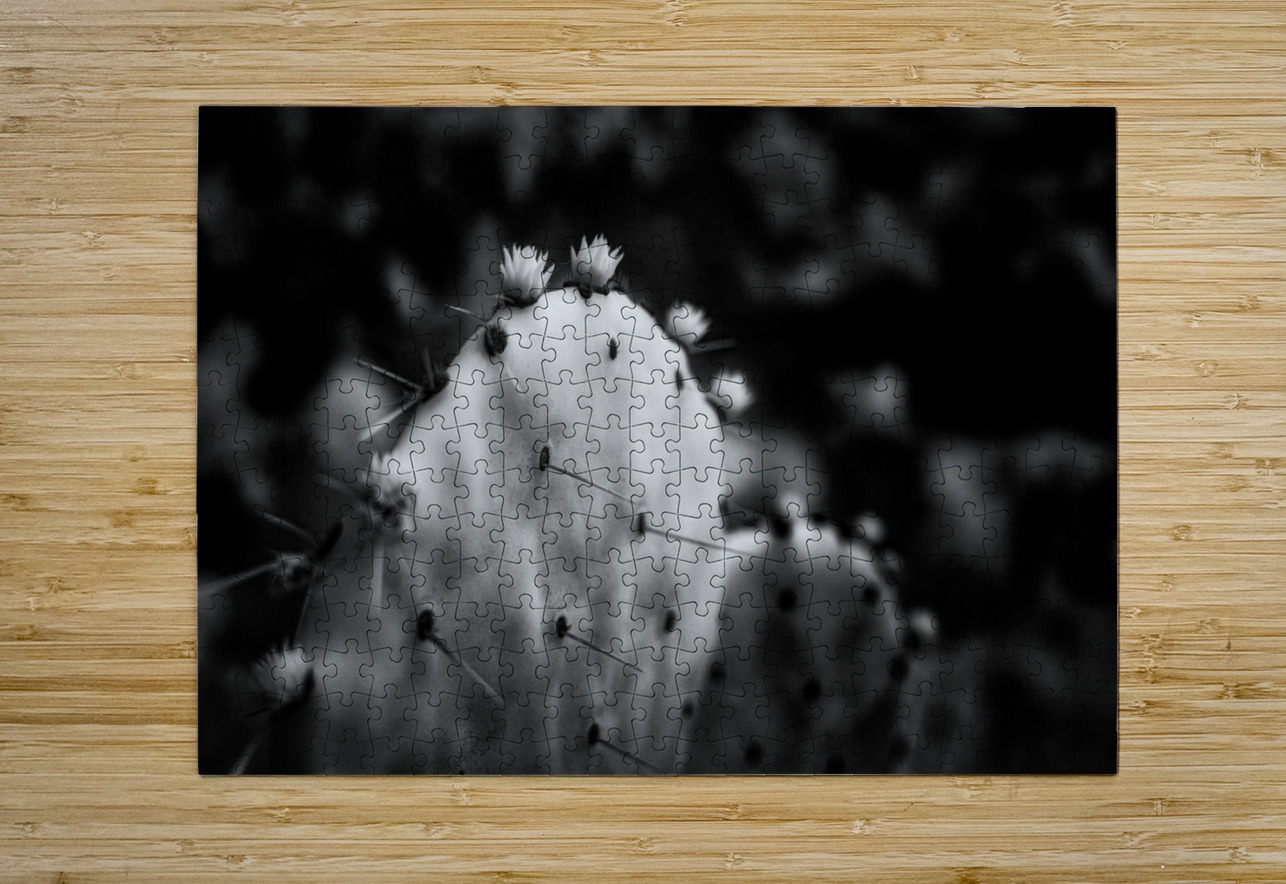 Ink and Thorn: Capturing the Essence of Texas Cacti Dream World Images Puzzle printing