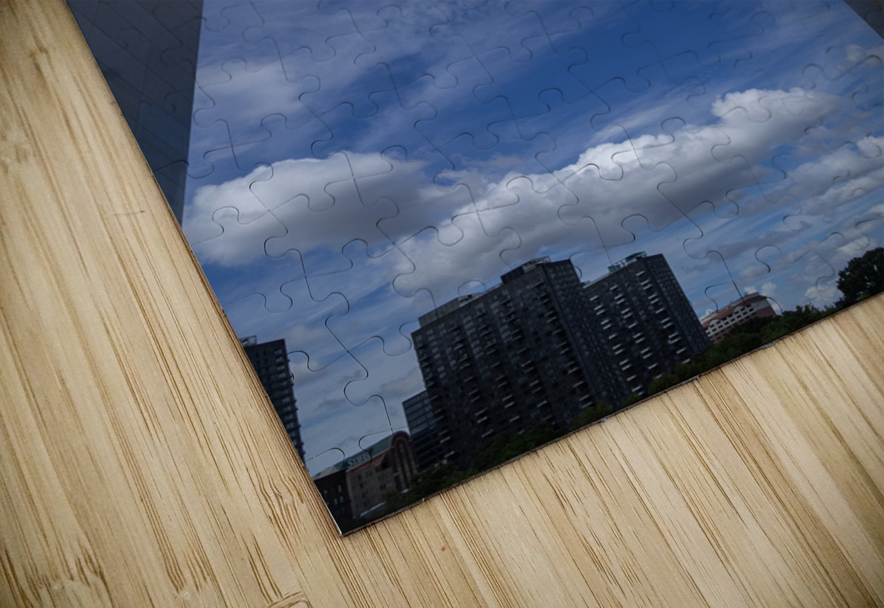 Soaring Elegance: The Gateway Arch Dream World Images Puzzle