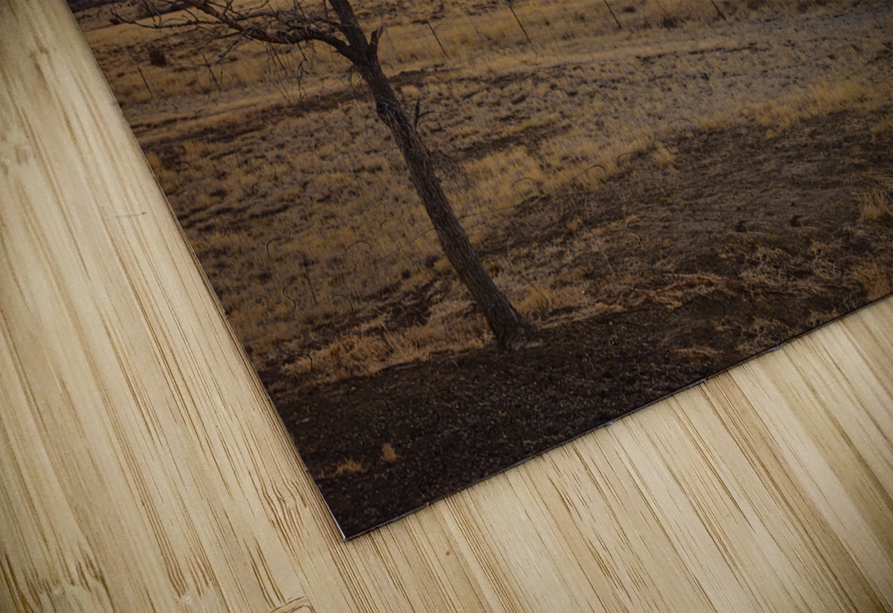 Heavens Blaze: Sunset Symphony in NM Dream World Images Puzzle