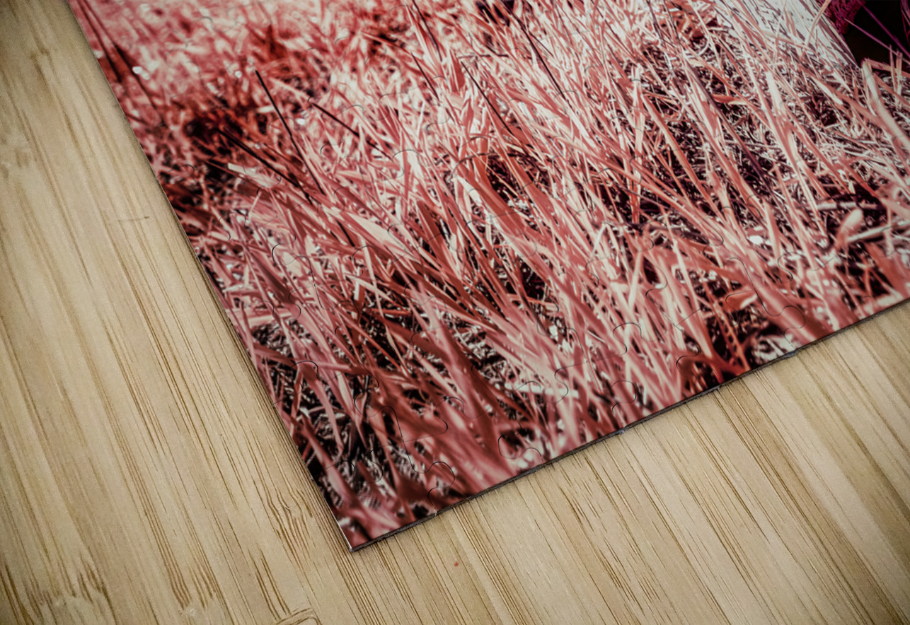 Rustic Relic - Kids Toy Remnant Dream World Images Puzzle