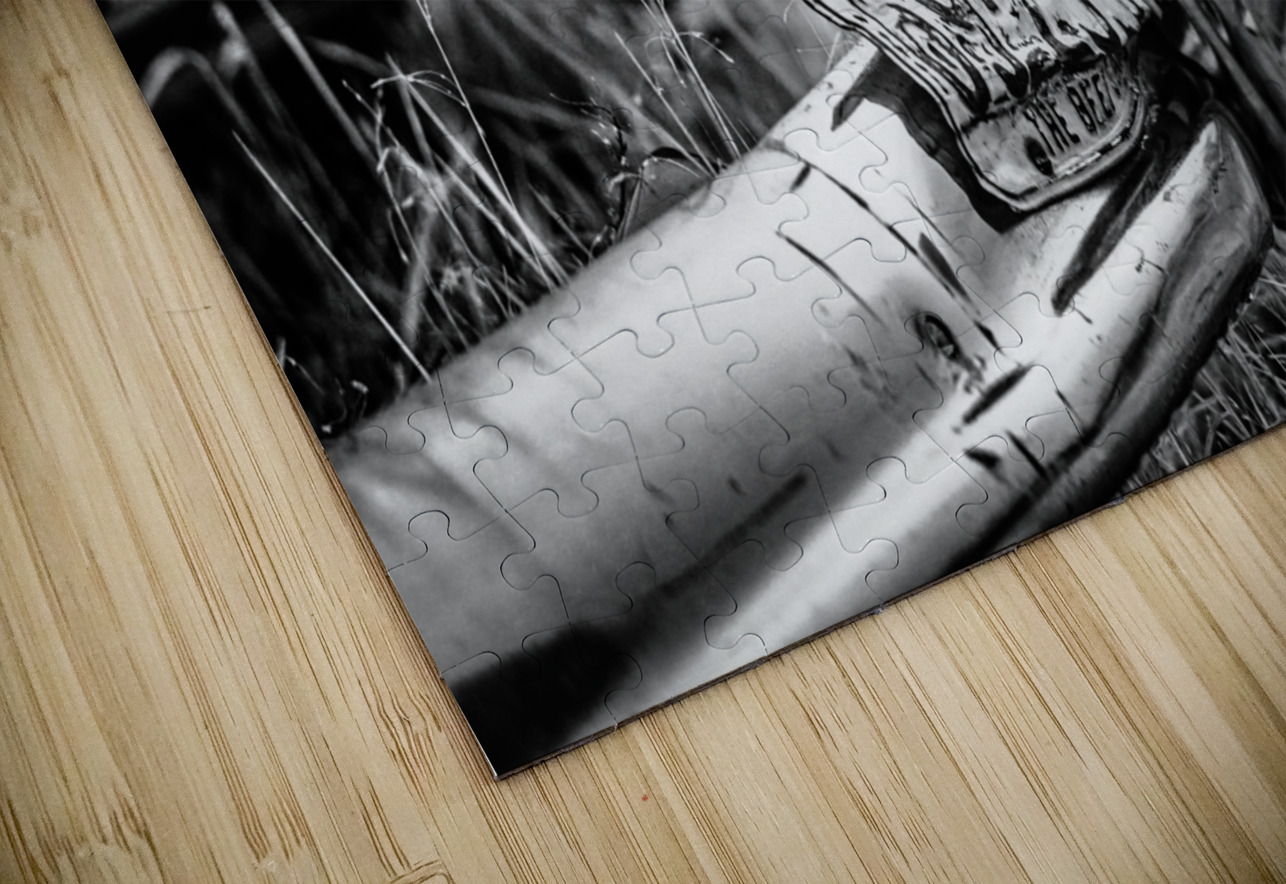 Rustic Relic - 58 Plate Dream World Images Puzzle