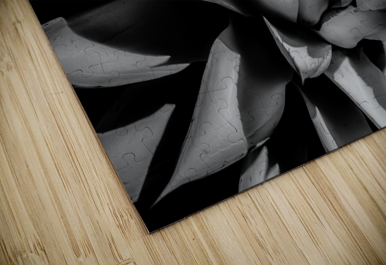 Silent Symphony of Leafy Angles Dream World Images Puzzle