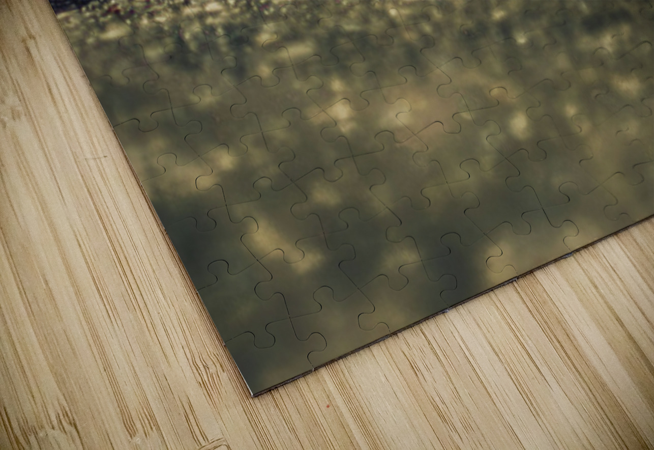 Childhoods Golden Hour Dream World Images Puzzle