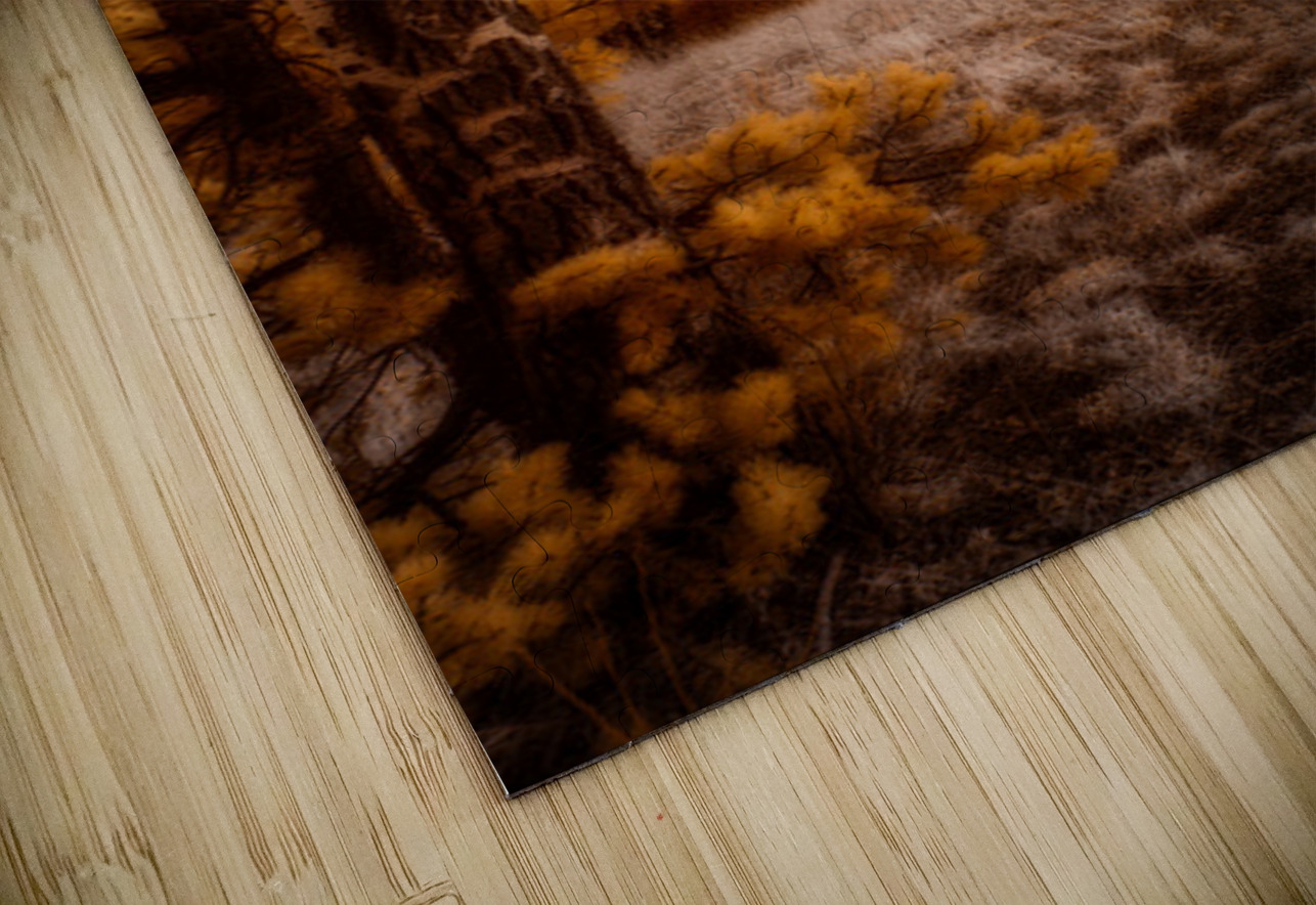 Mueller Aspen Series: Dream World Images Puzzle